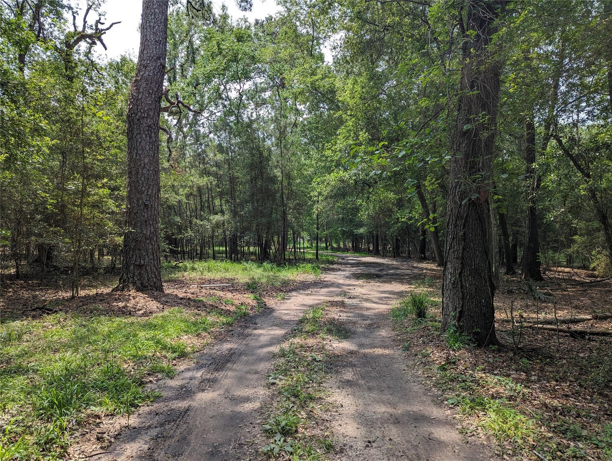0 0 Moonshine Hill Road , Houston, TX, 77338 | 7670263 | Realty Texas LLC