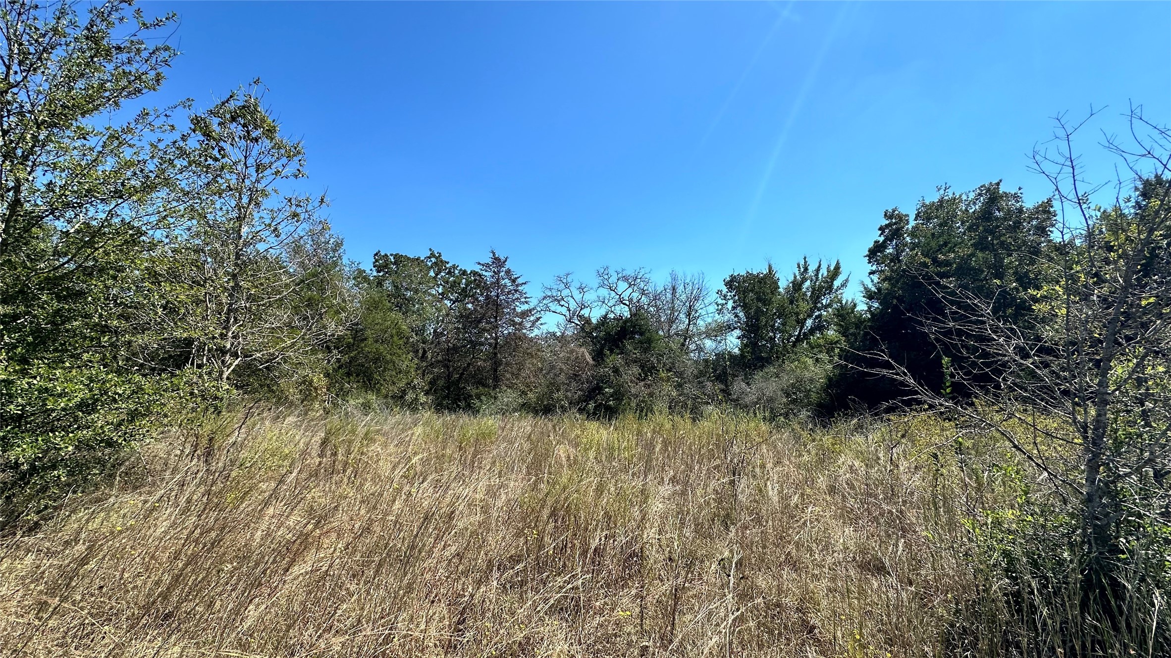 402 Professor Smith, Gause, TX, 77857 | 22490317 | Realty Texas LLC