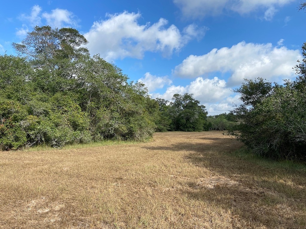 TBD Loose Cow Road , Garwood, TX, 77442 | 43434852 | Realty Texas LLC