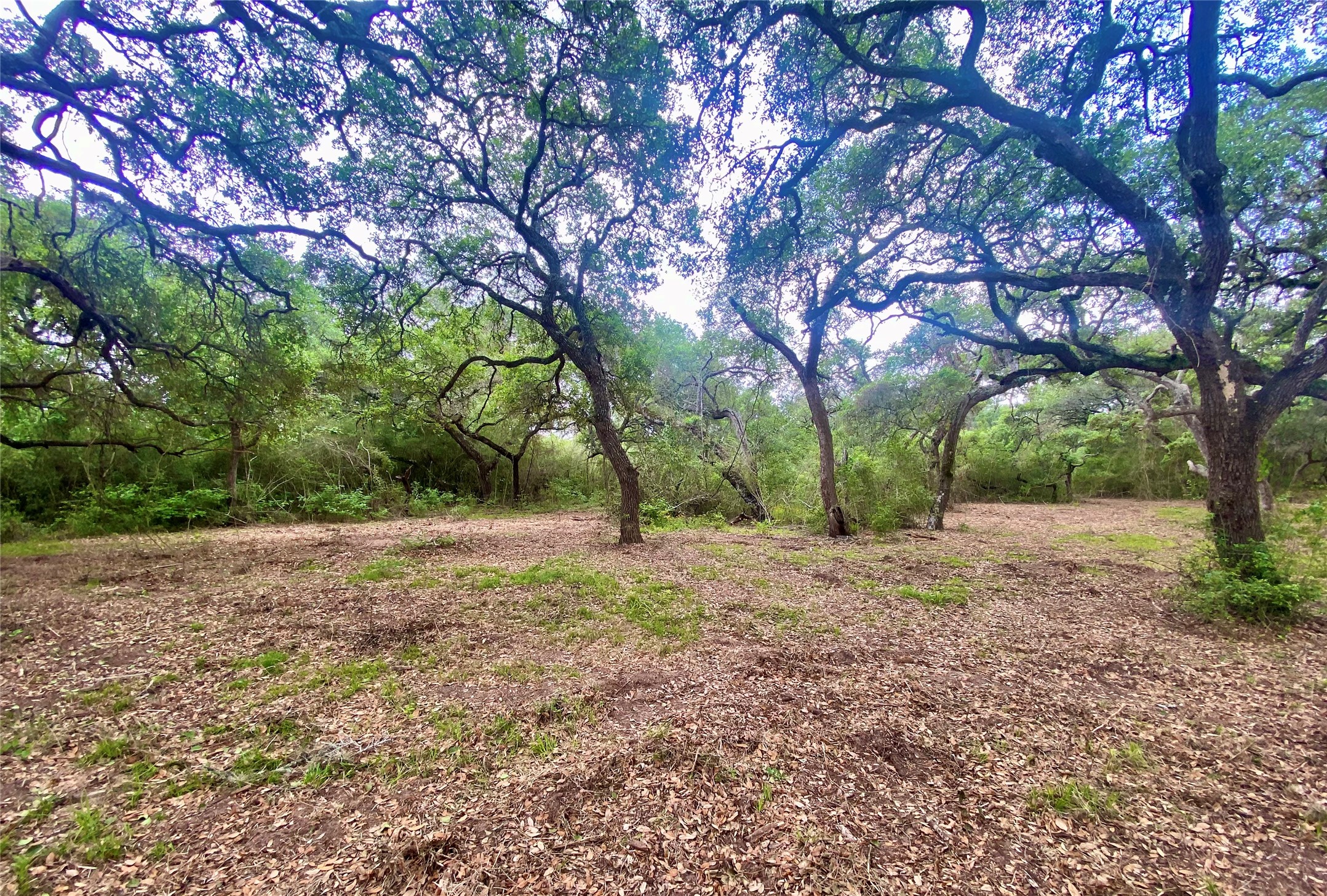 TBD Loose Cow Road , Garwood, TX, 77442 | 43434852 | Realty Texas LLC
