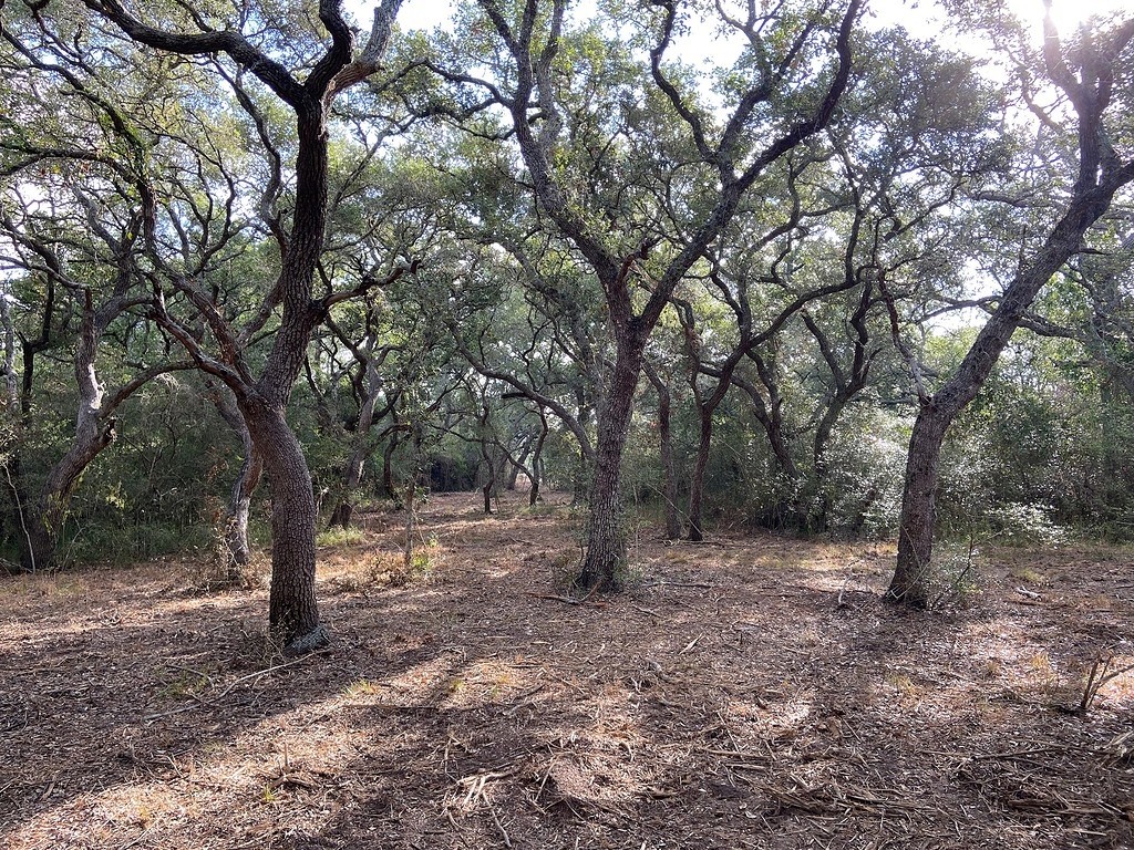 TBD Loose Cow Road , Garwood, TX, 77442 | 43434852 | Realty Texas LLC