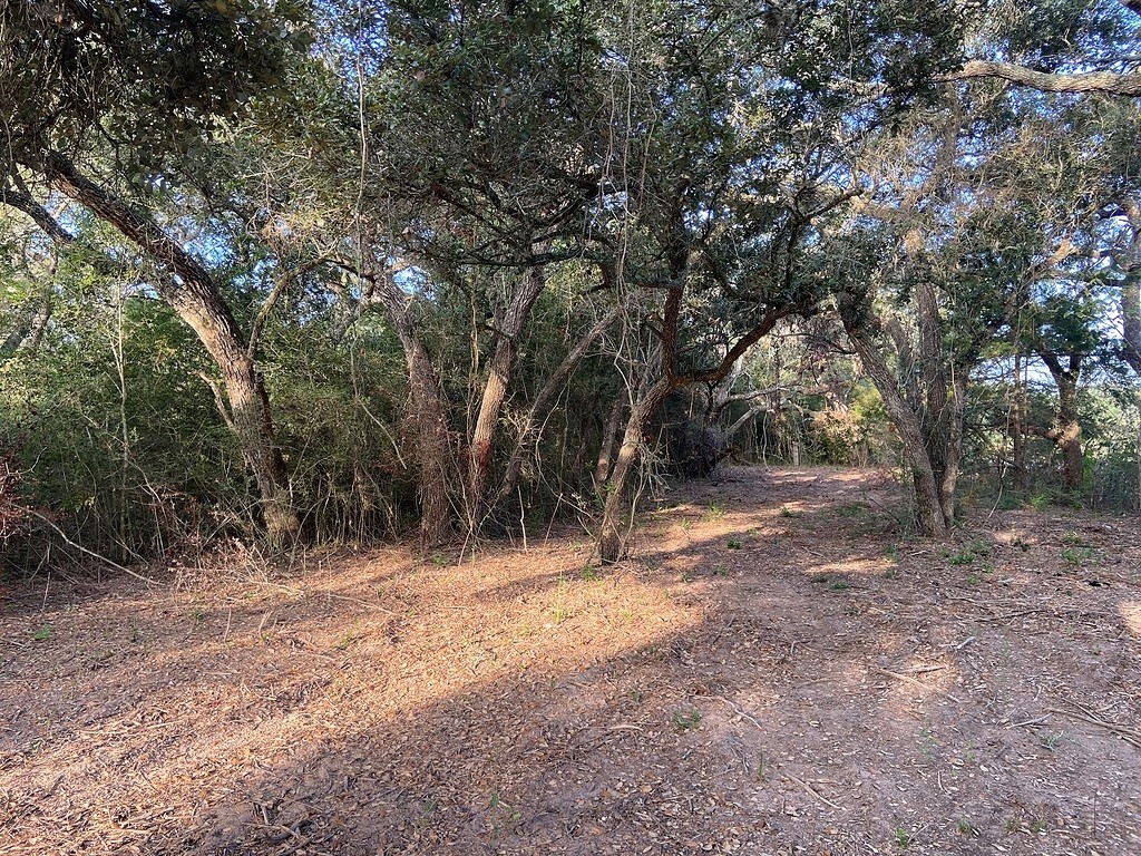 TBD Loose Cow Road , Garwood, TX, 77442 | 43434852 | Realty Texas LLC