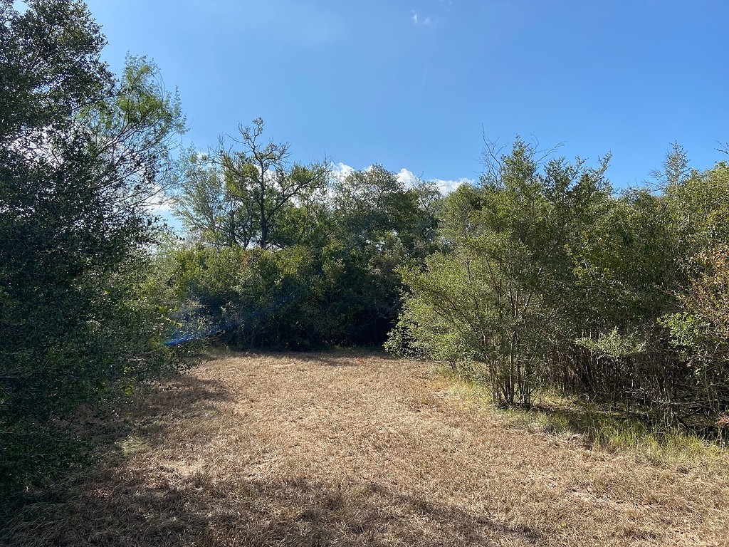 TBD Loose Cow Road , Garwood, TX, 77442 | 43434852 | Realty Texas LLC