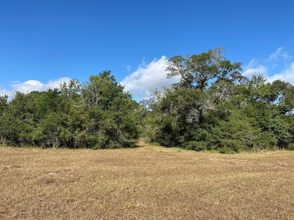 TBD Loose Cow Road , Garwood, TX, 77442 | 43434852 | Realty Texas LLC