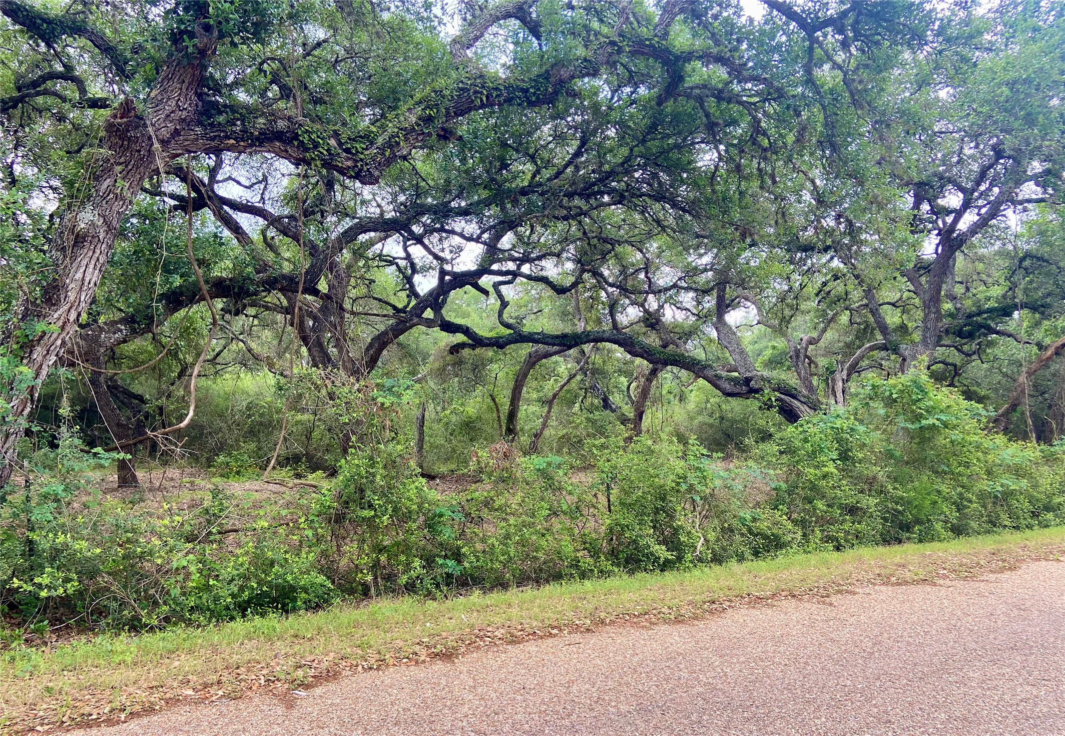 TBD Loose Cow Road , Garwood, TX, 77442 | 43434852 | Realty Texas LLC