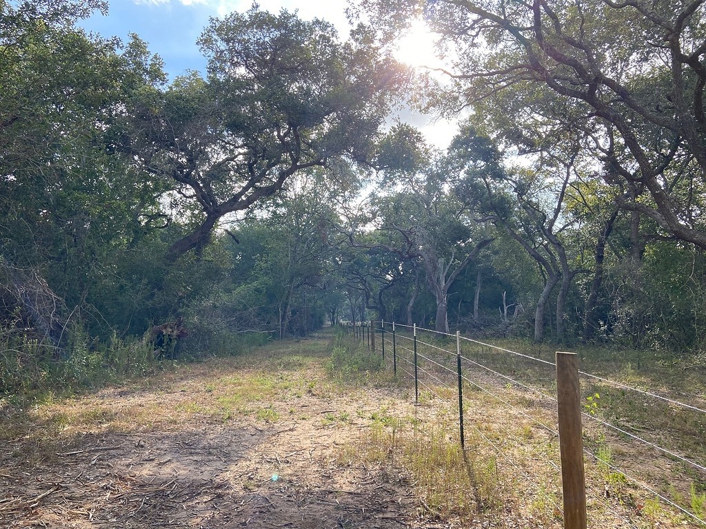 TBD Loose Cow Road , Garwood, TX, 77442 | 43434852 | Realty Texas LLC