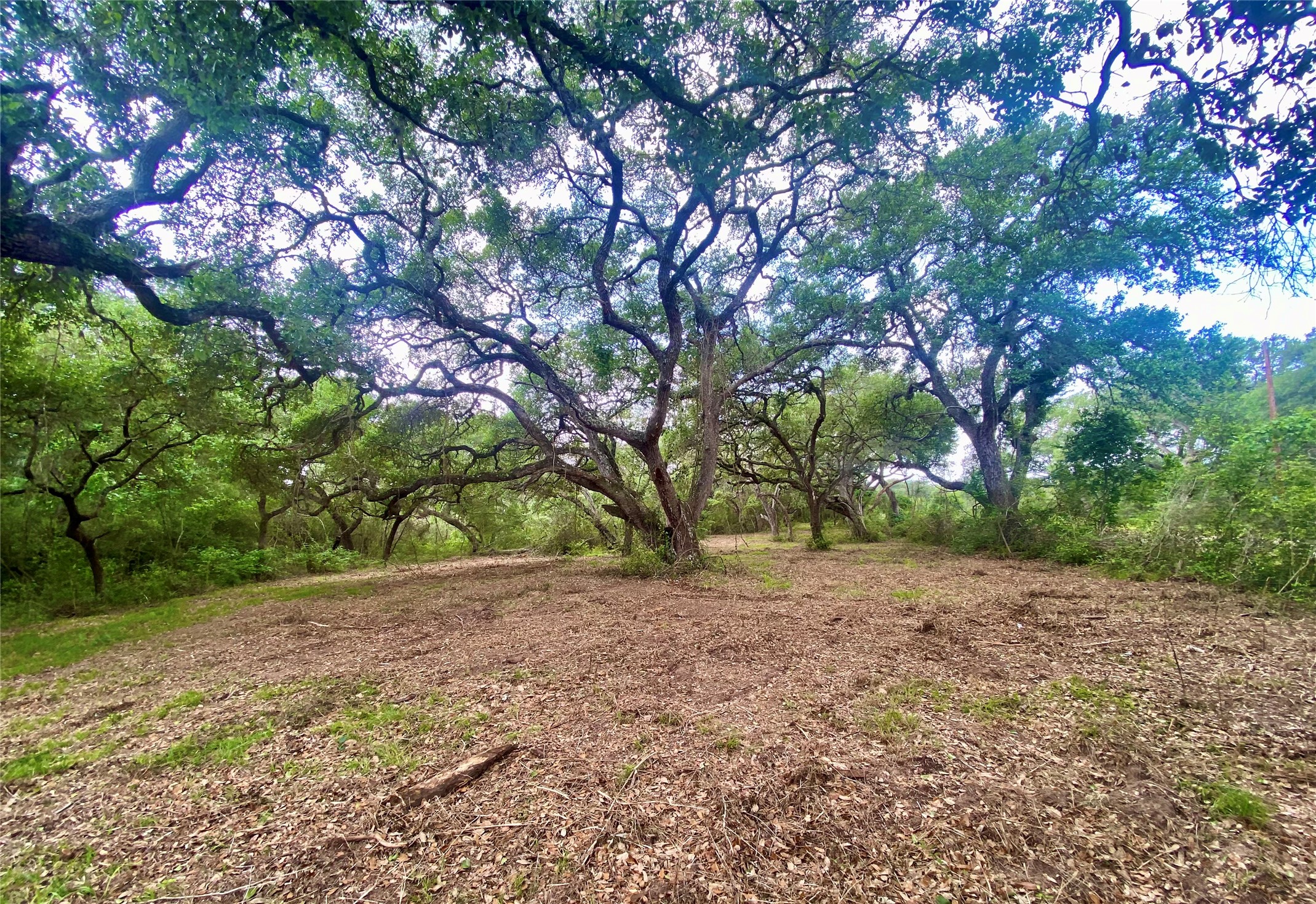 TBD Loose Cow Road , Garwood, TX, 77442 | 43434852 | Realty Texas LLC