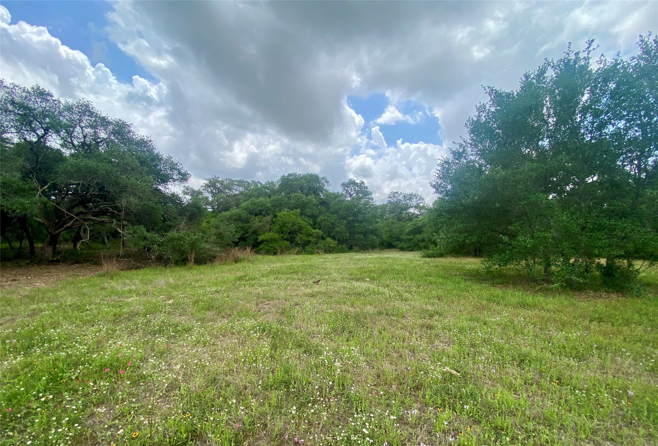 TBD Loose Cow Road , Garwood, TX, 77442 | 43434852 | Realty Texas LLC