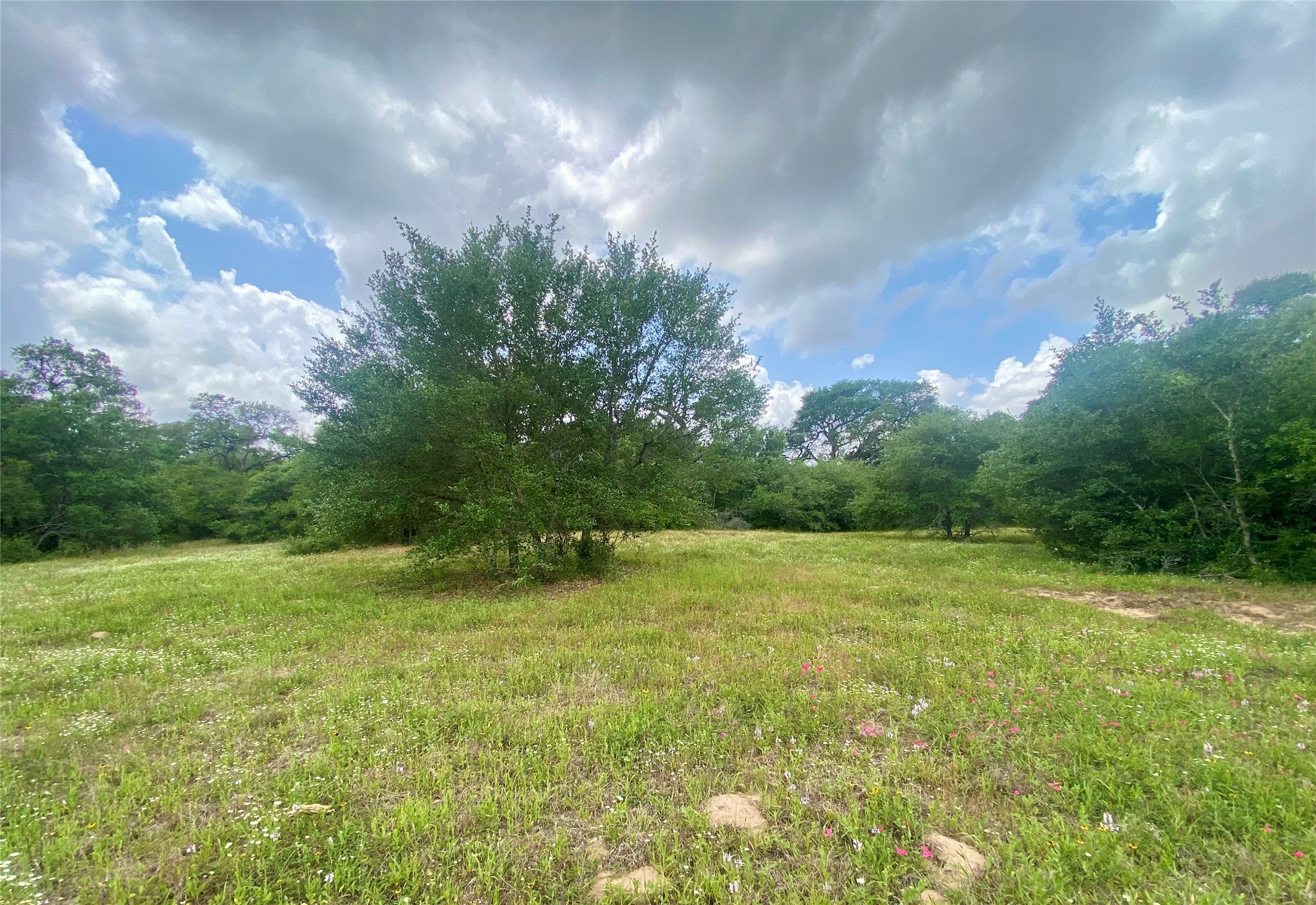 TBD Loose Cow Road , Garwood, TX, 77442 | 43434852 | Realty Texas LLC