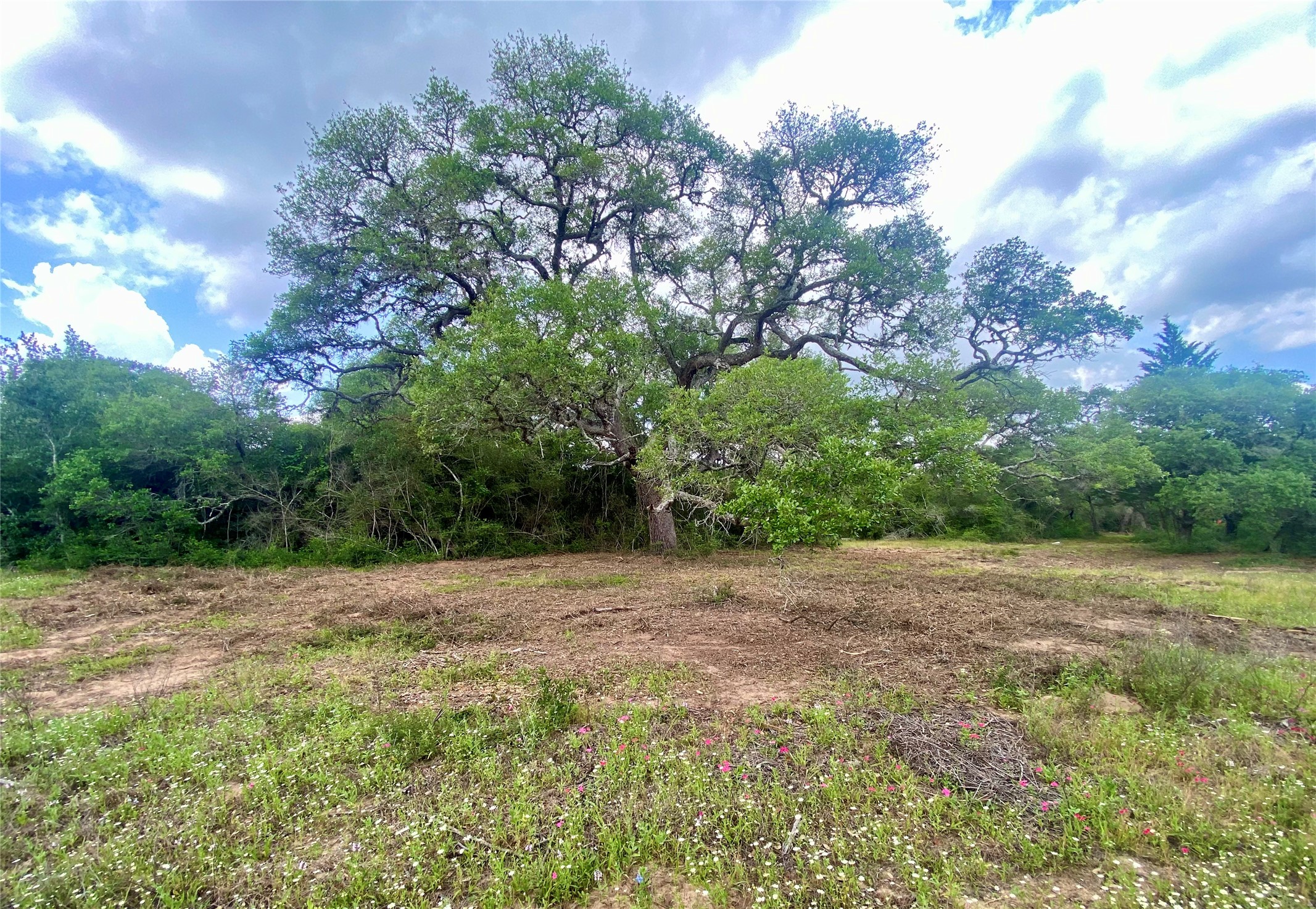TBD Loose Cow Road , Garwood, TX, 77442 | 43434852 | Realty Texas LLC
