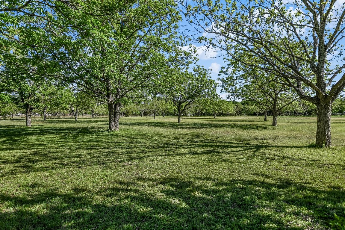 1415 ORCHARD Drive , Leander, TX, 78641 | 2934488 | Realty Texas LLC