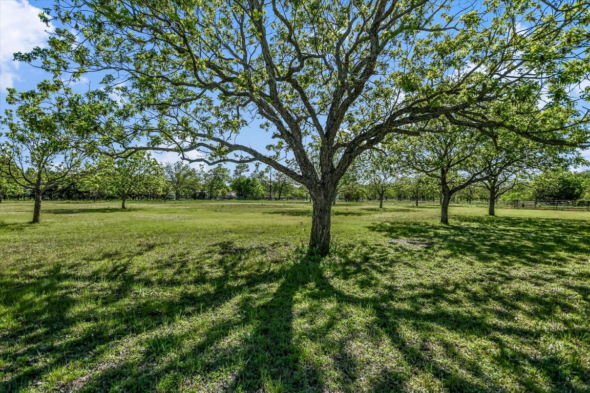 1415 ORCHARD Drive , Leander, TX, 78641 | 2934488 | Realty Texas LLC