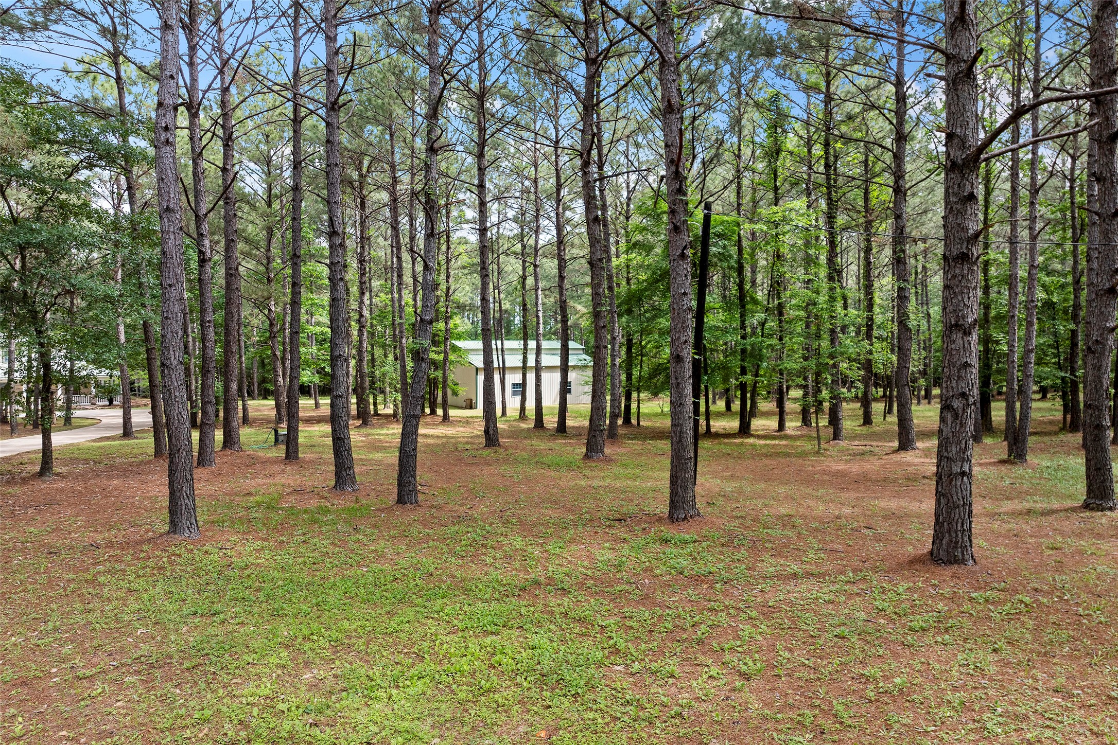 519 Dodge Oakhurst Road , Huntsville, TX, 77320 | 58555864 | Realty Texas LLC