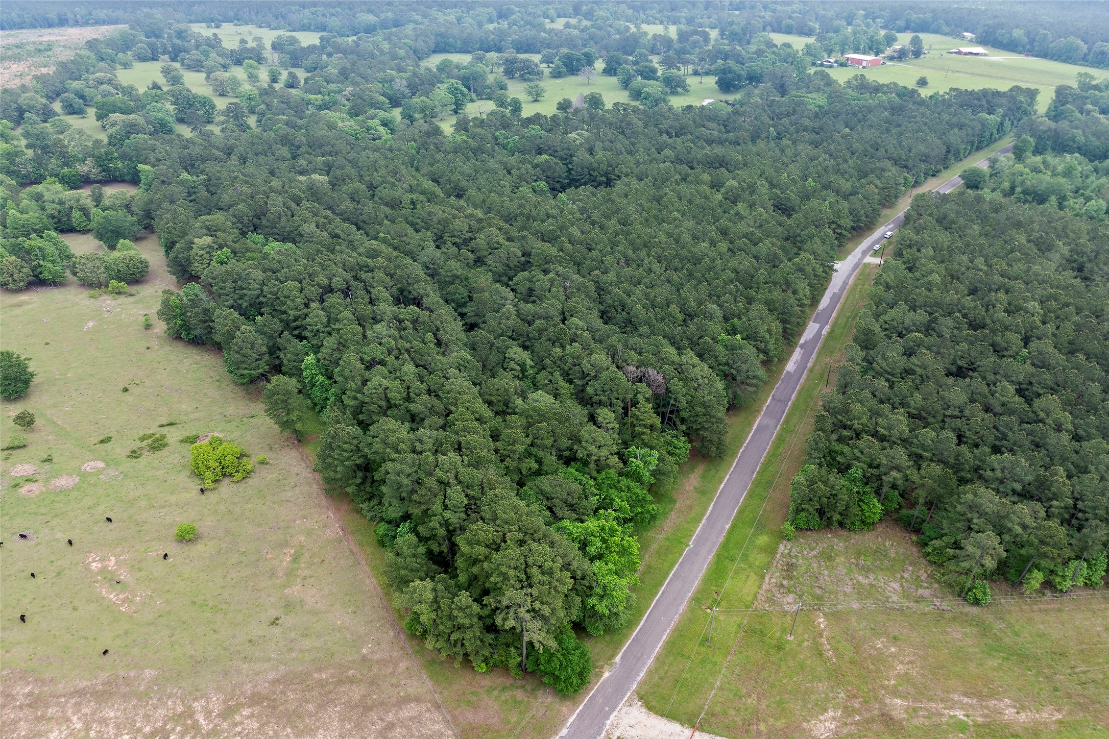 519 Dodge Oakhurst Road , Huntsville, TX, 77320 | 58555864 | Realty Texas LLC