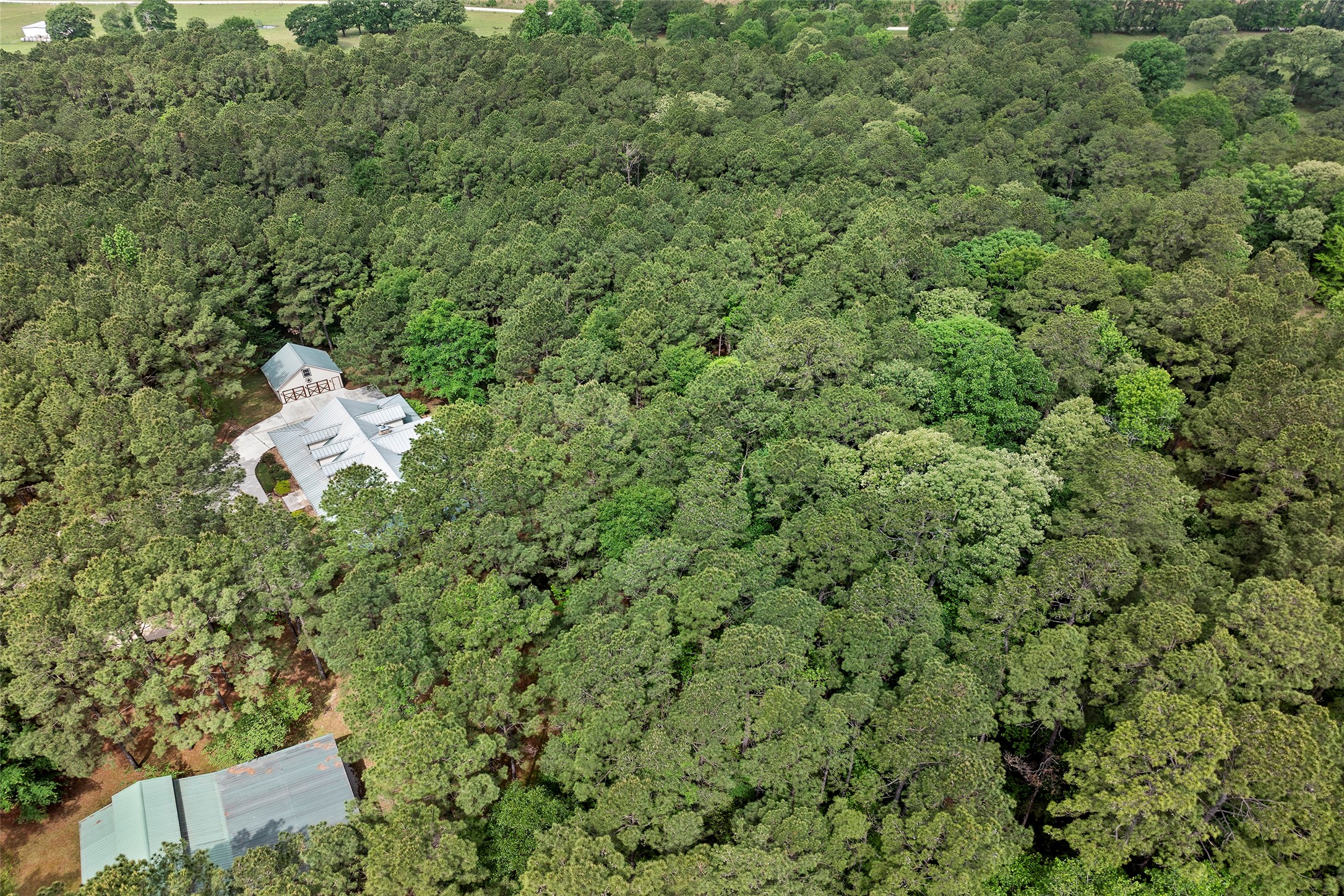 519 Dodge Oakhurst Road , Huntsville, TX, 77320 | 58555864 | Realty Texas LLC