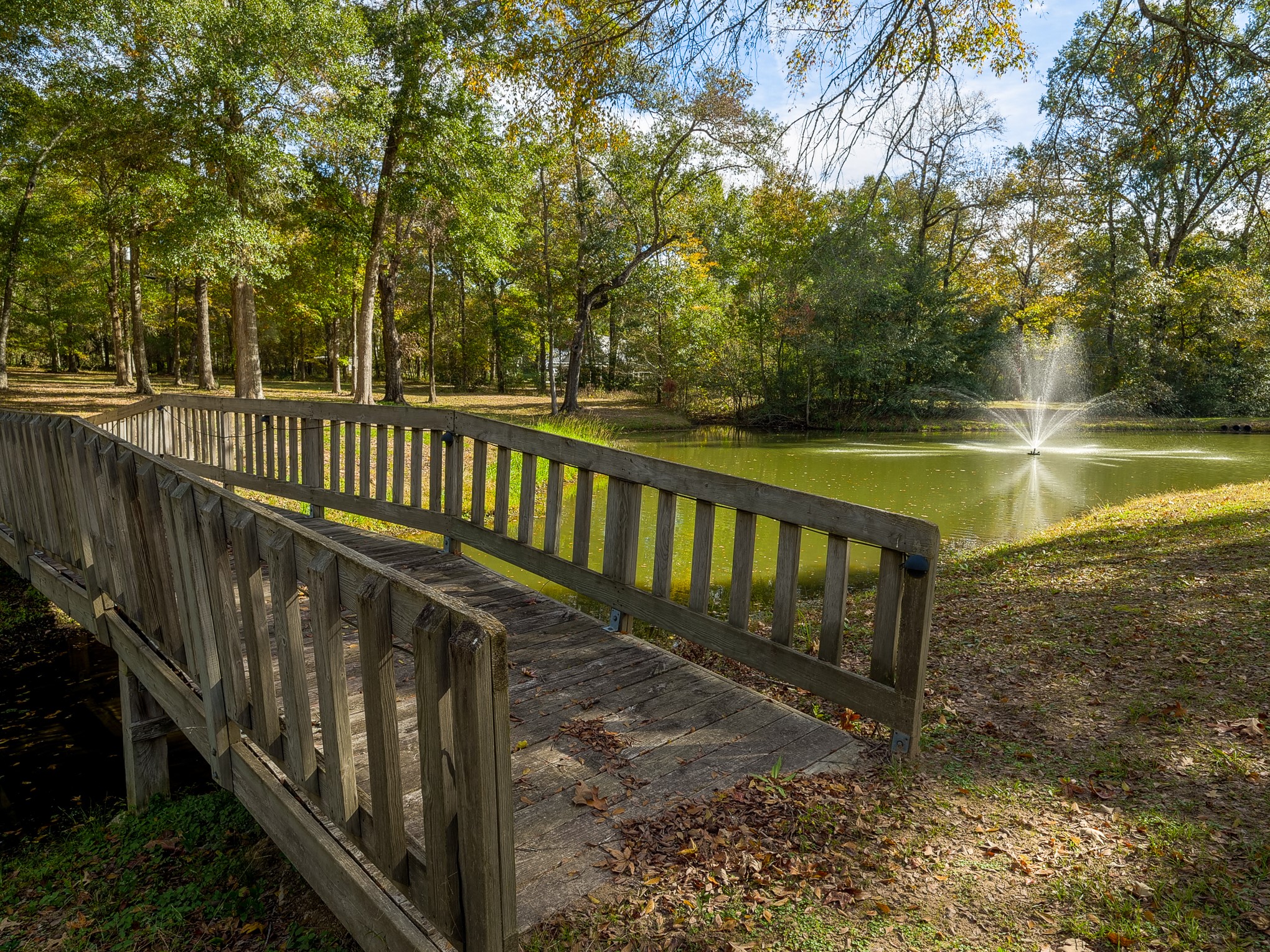 18193 Rabon Chapel Road , Montgomery, TX, 77316 | 82026662 | Realty Texas LLC