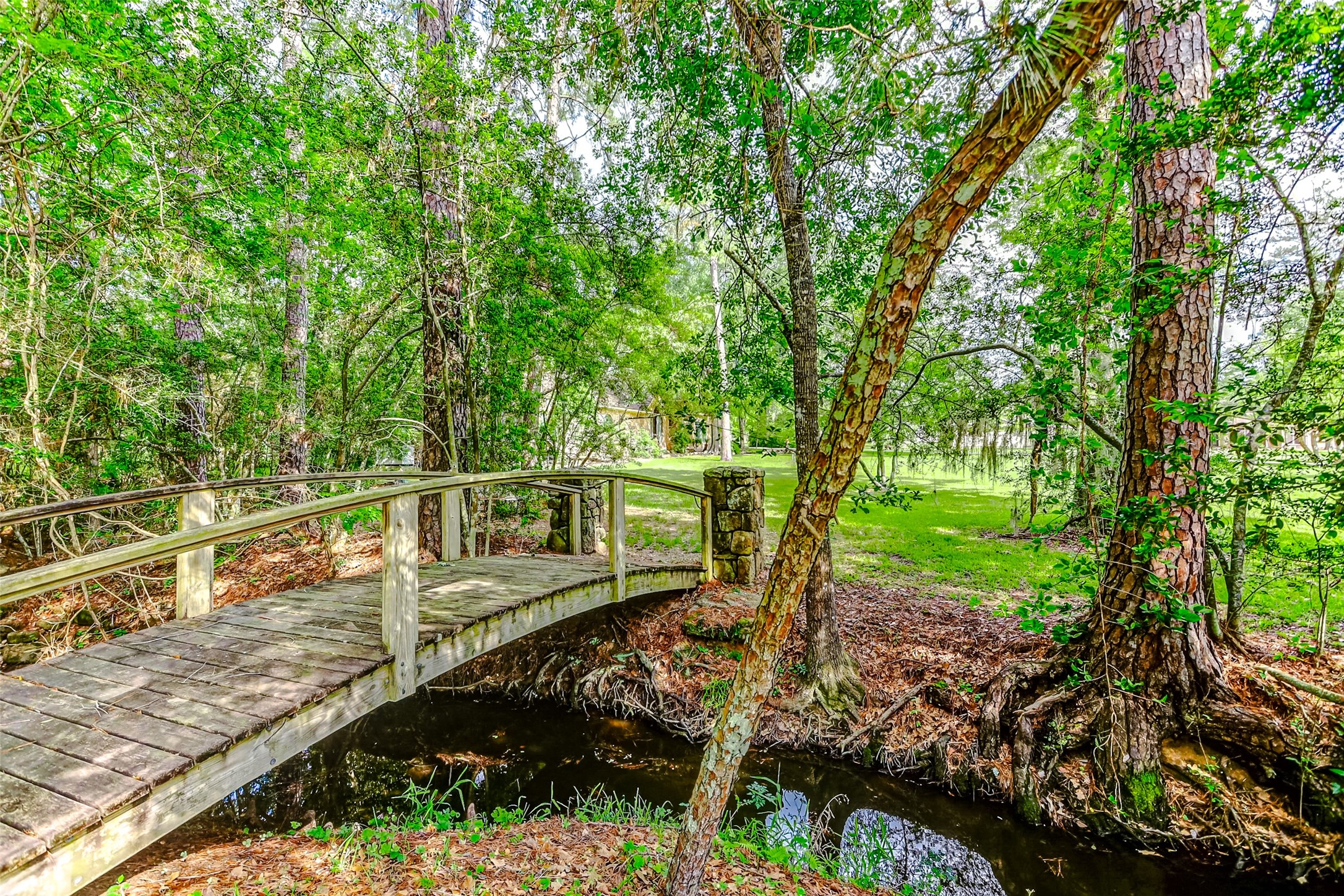33302 Alton Wright Drive , Magnolia, TX, 77355 | 15574960 | Realty Texas LLC