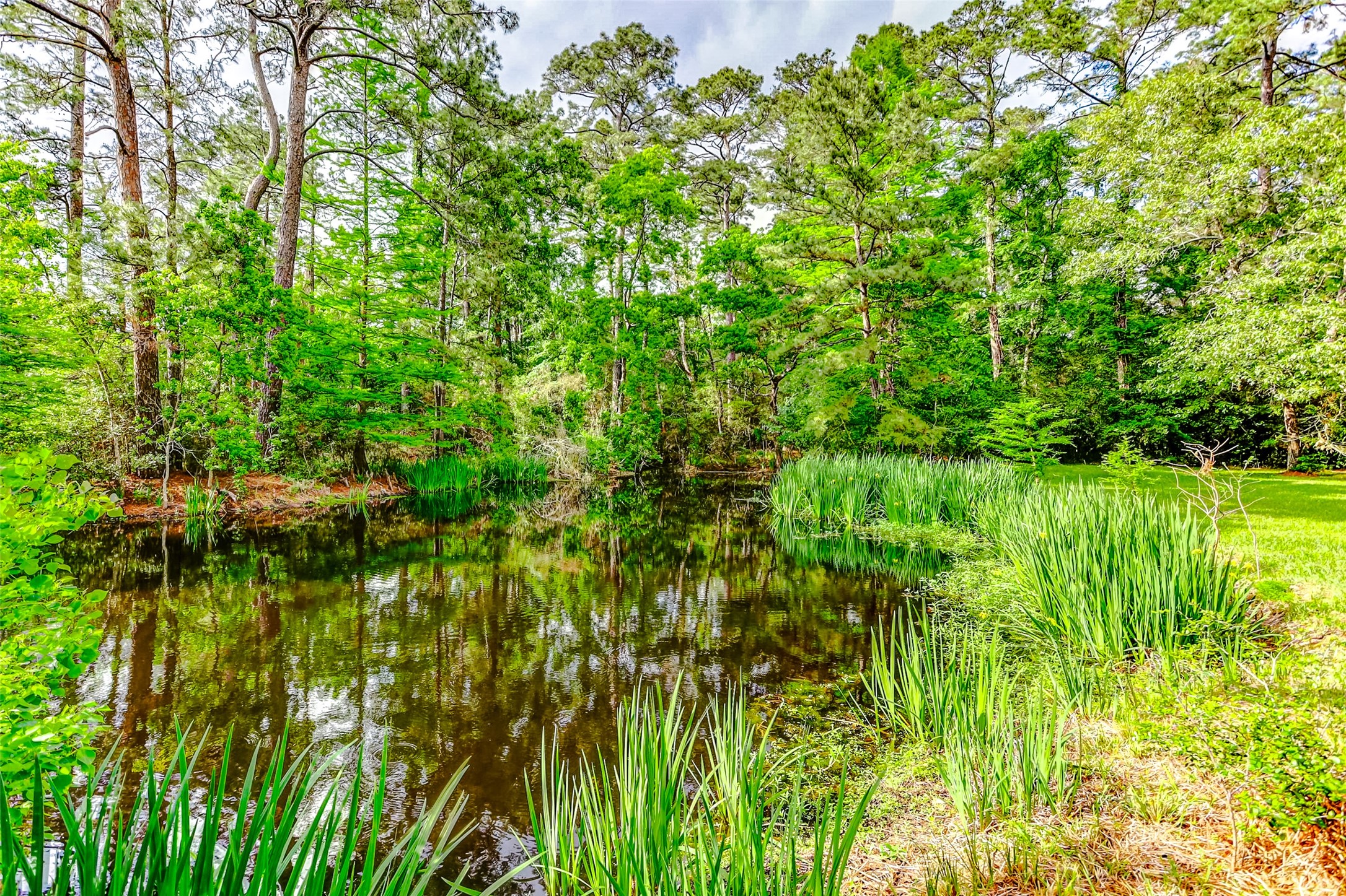 33302 Alton Wright Drive , Magnolia, TX, 77355 | 15574960 | Realty Texas LLC