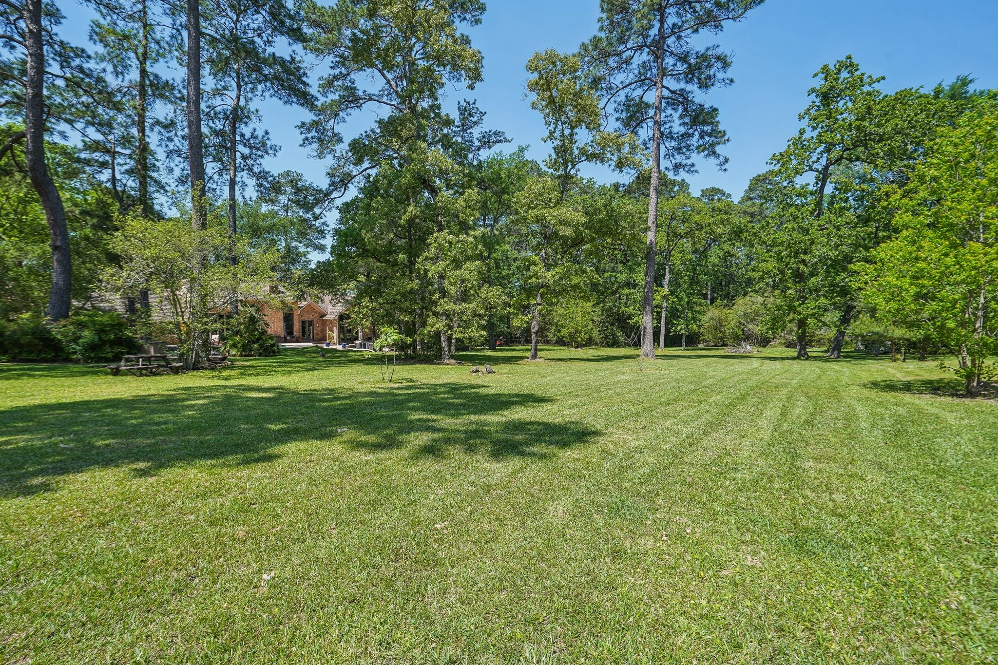 33302 Alton Wright Drive , Magnolia, TX, 77355 | 15574960 | Realty Texas LLC