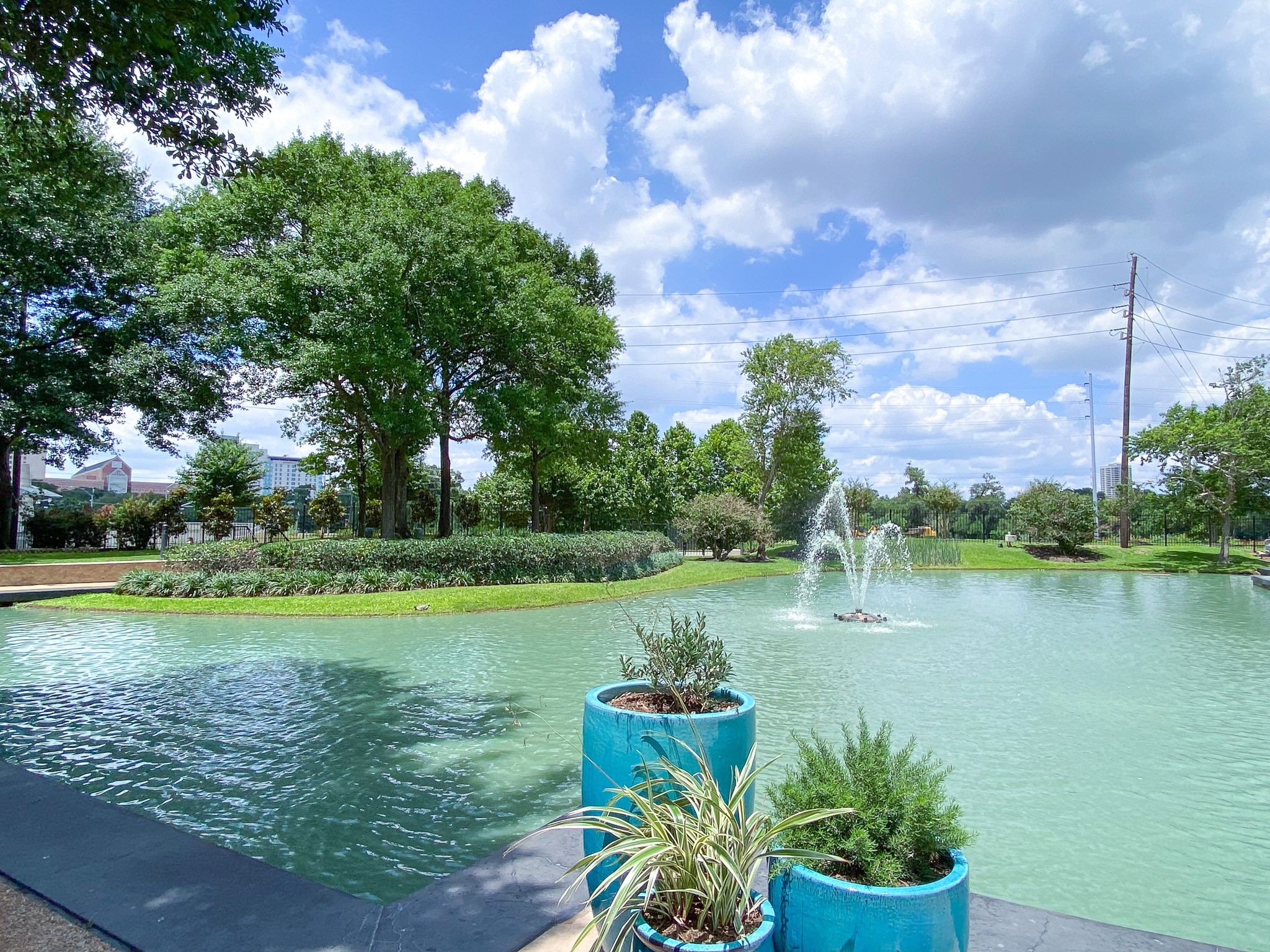 2001 Holcombe Boulevard 3305 , Houston, TX, 77030 | 70631816 | Realty Texas LLC