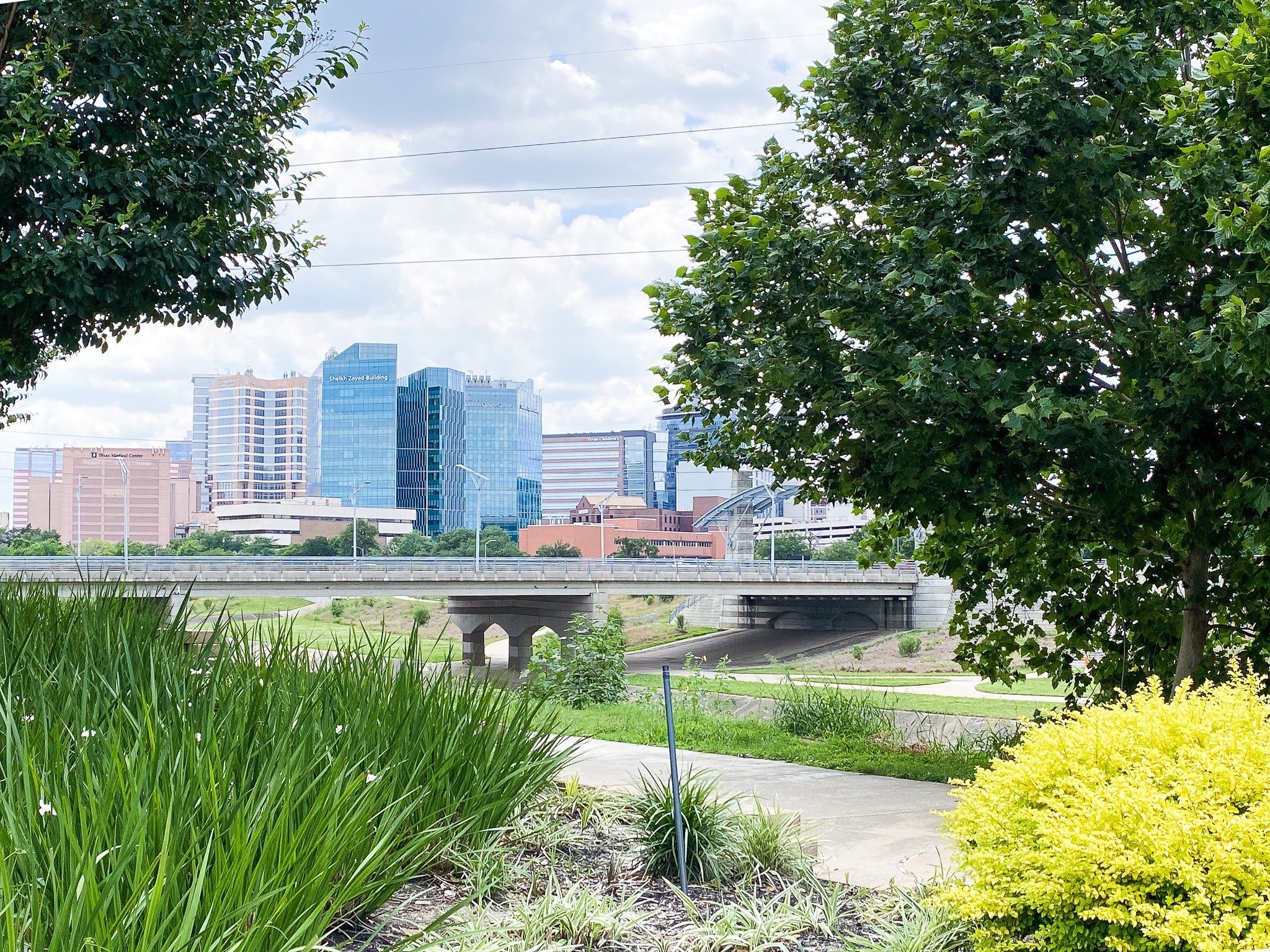 2001 Holcombe Boulevard 3305 , Houston, TX, 77030 | 70631816 | Realty Texas LLC