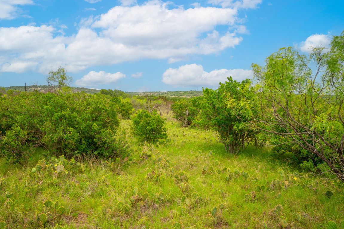 00 Whitetail Drive , Dripping Springs, TX, 78620 | 8408749 | Realty Texas LLC