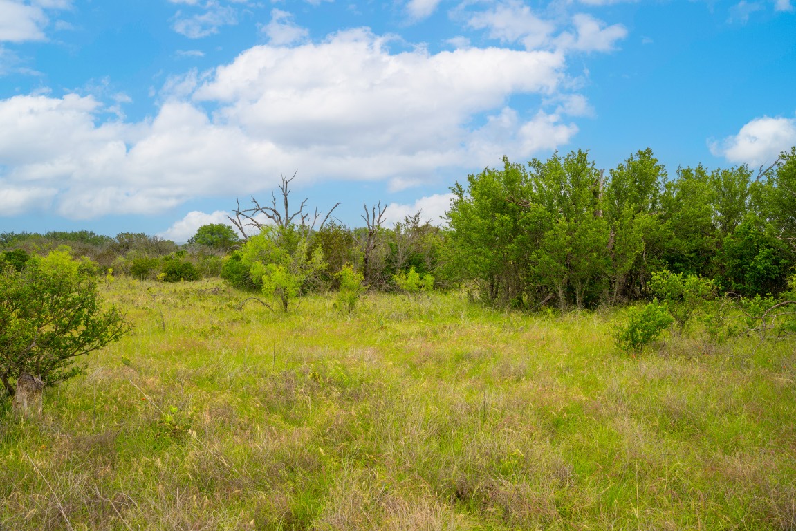00 Whitetail Drive , Dripping Springs, TX, 78620 | 8408749 | Realty Texas LLC