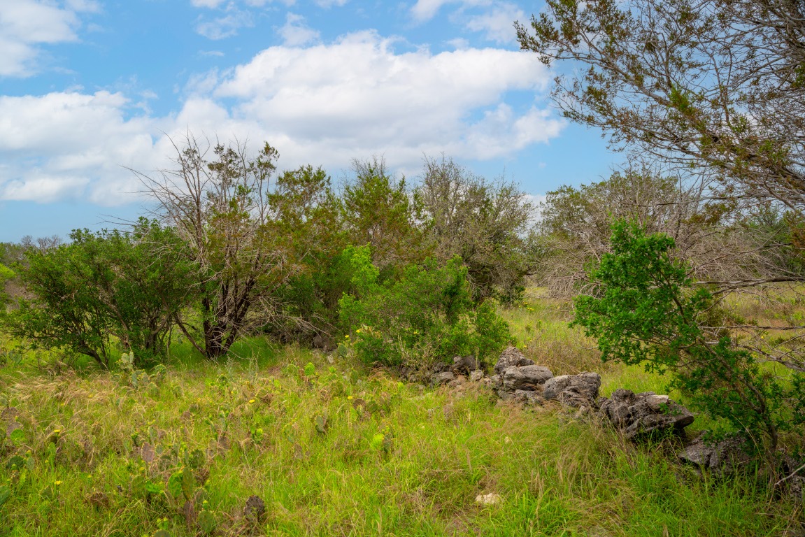 00 Whitetail Drive , Dripping Springs, TX, 78620 | 8408749 | Realty Texas LLC
