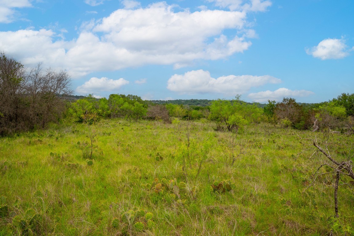 00 Whitetail Drive , Dripping Springs, TX, 78620 | 8408749 | Realty Texas LLC