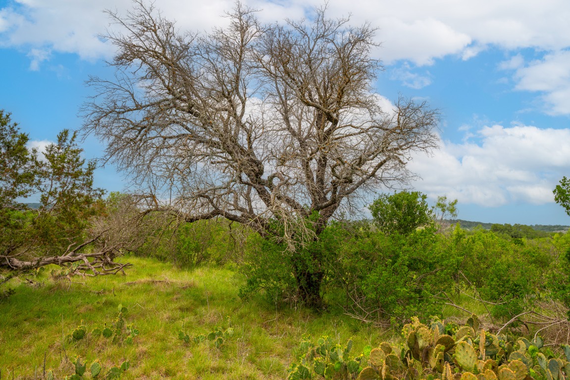 00 Whitetail Drive , Dripping Springs, TX, 78620 | 8408749 | Realty Texas LLC