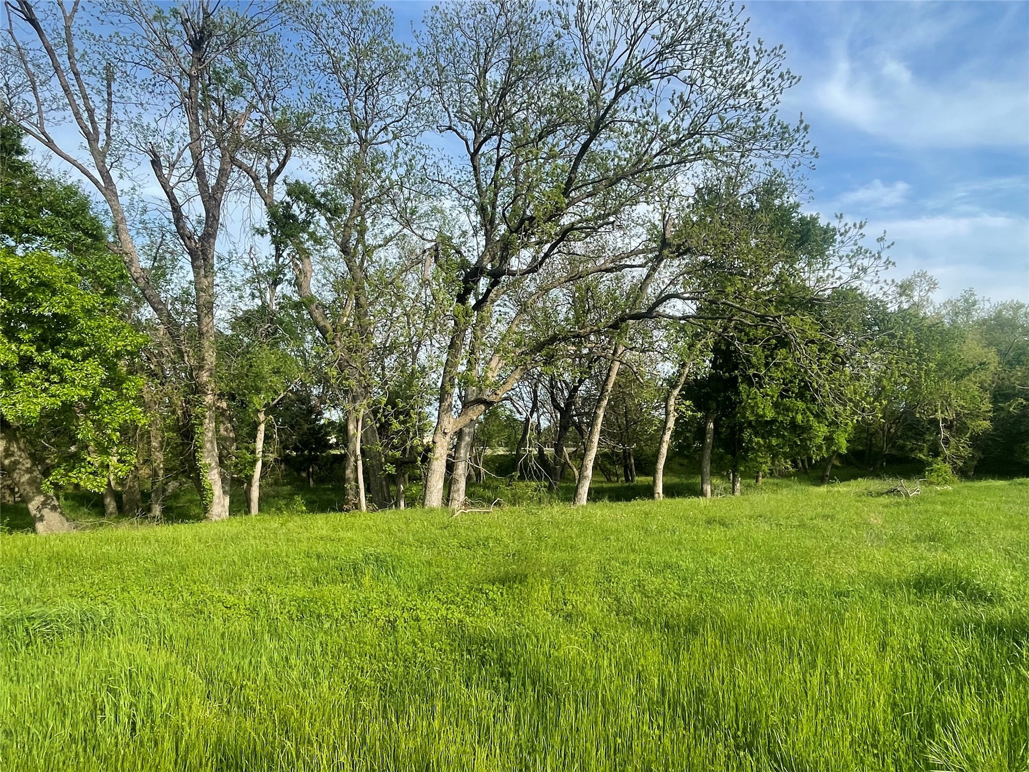 17407 Fm 2755 , Lavon, TX, 75166 | 20916843 | Realty Texas LLC