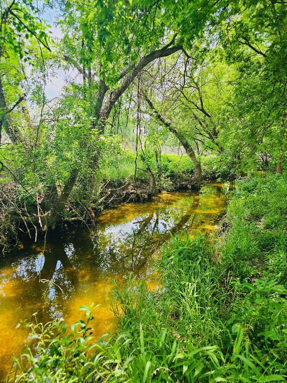 5107 Leralynn Street 304, Austin, TX, 78751 | 1562901 | Realty Texas LLC