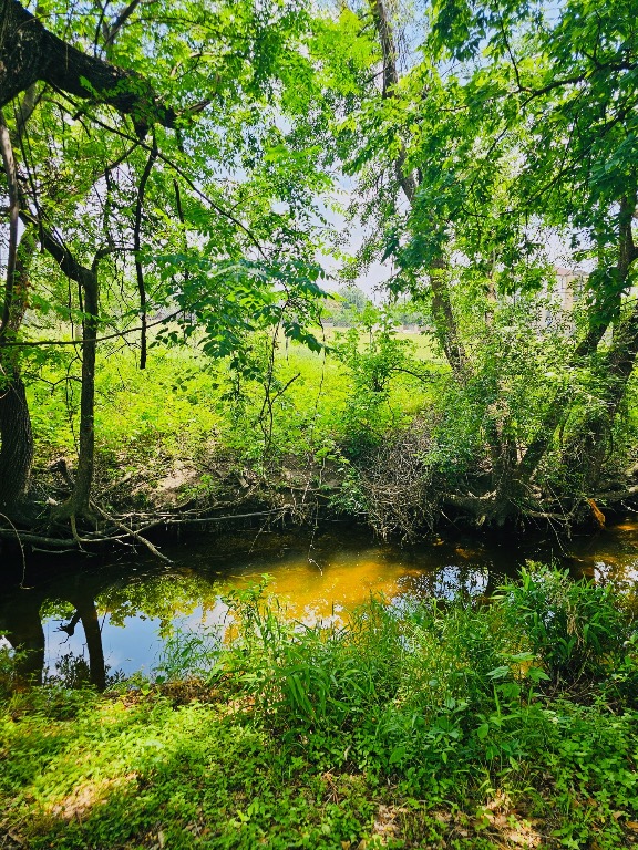 5107 Leralynn Street 304, Austin, TX, 78751 | 1562901 | Realty Texas LLC