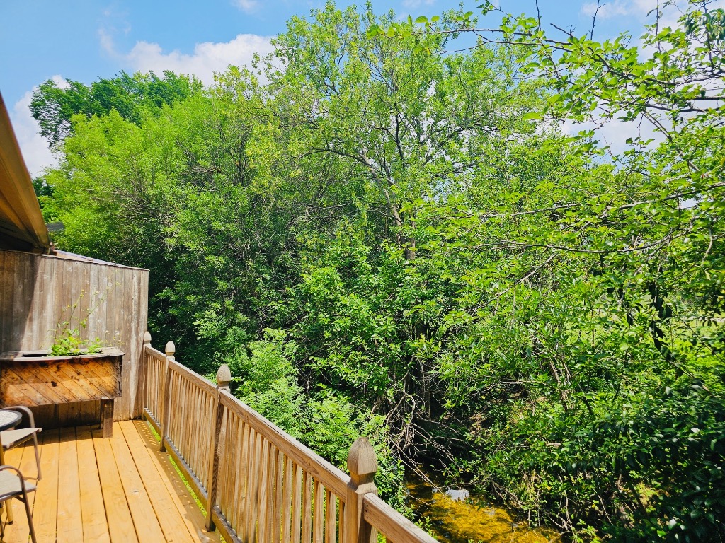 5107 Leralynn Street 304, Austin, TX, 78751 | 1562901 | Realty Texas LLC