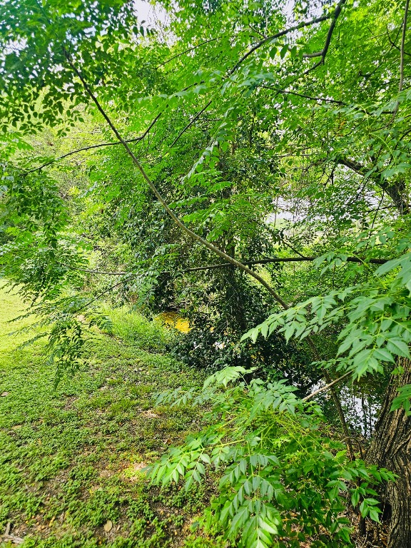 5107 Leralynn Street 304, Austin, TX, 78751 | 1562901 | Realty Texas LLC