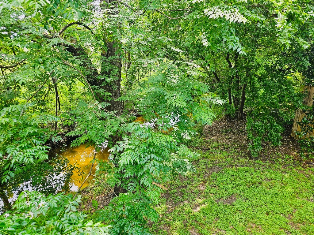 5107 Leralynn Street 304, Austin, TX, 78751 | 1562901 | Realty Texas LLC