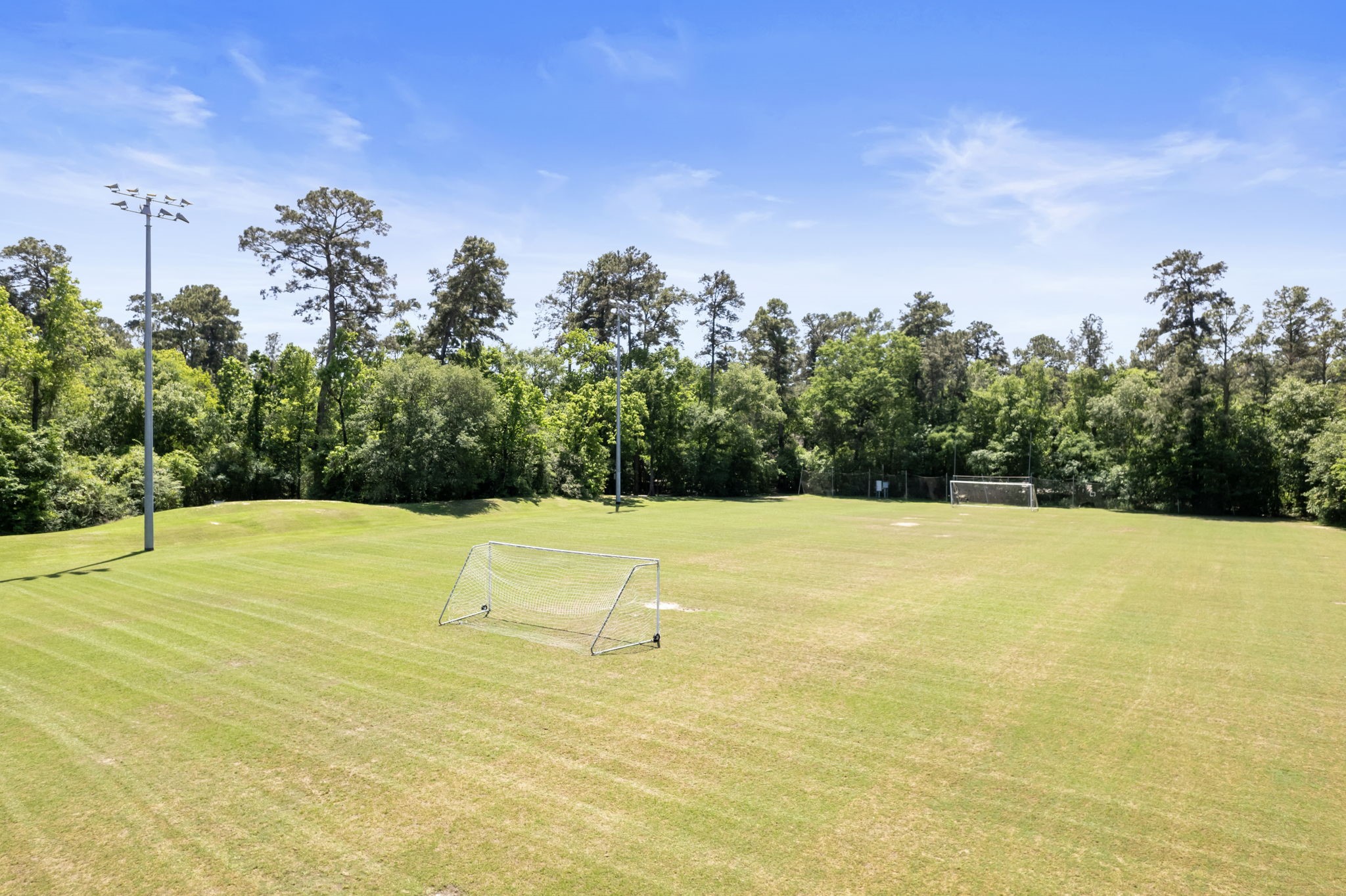 21 Treescape Circle , The Woodlands, TX, 77381 | 91166702 | Realty Texas LLC