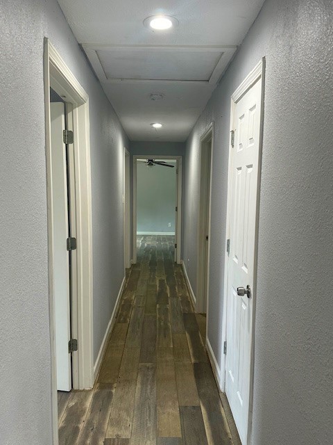 19101 Oak Canyon Drive , Conroe, TX, 77385 | 66031250 | Realty Texas LLC