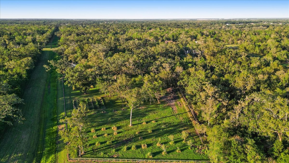 1415 China Grove Drive, Rosharon, TX, 77583 | 13392463 | Realty Texas LLC