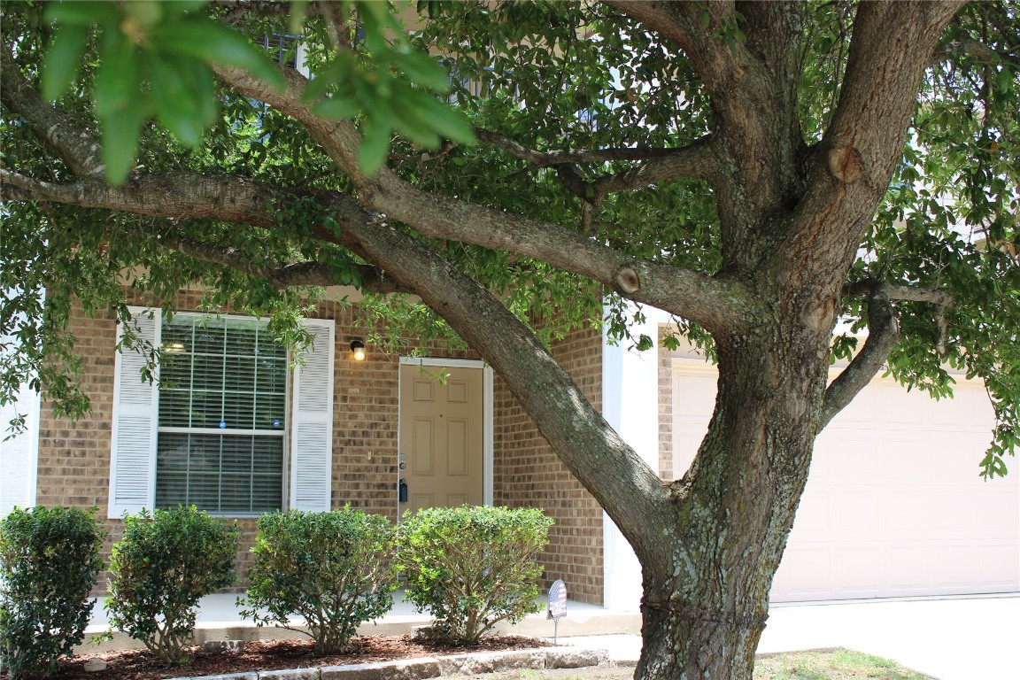 18354 Basket Flower Bend , Elgin, TX, 78621 | 8675627 | Realty Texas LLC