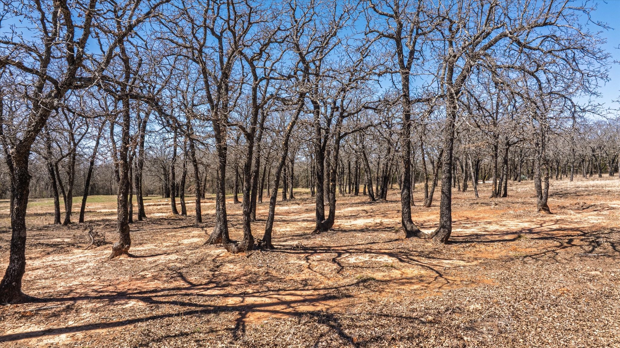 1906 Coleman Ranch Road , Tolar, TX, 76476 | 20922047 | Realty Texas LLC