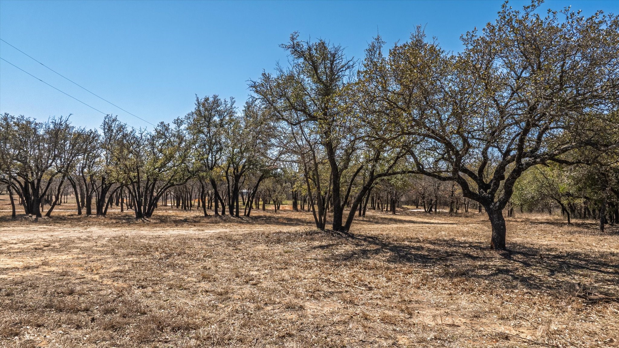 1906 Coleman Ranch Road , Tolar, TX, 76476 | 20922047 | Realty Texas LLC