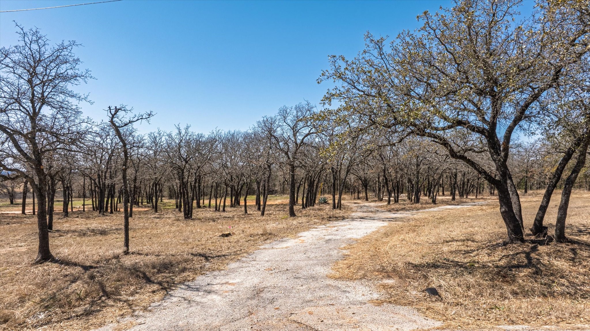 1918 Coleman Ranch Road , Tolar, TX, 76476 | 20922091 | Realty Texas LLC