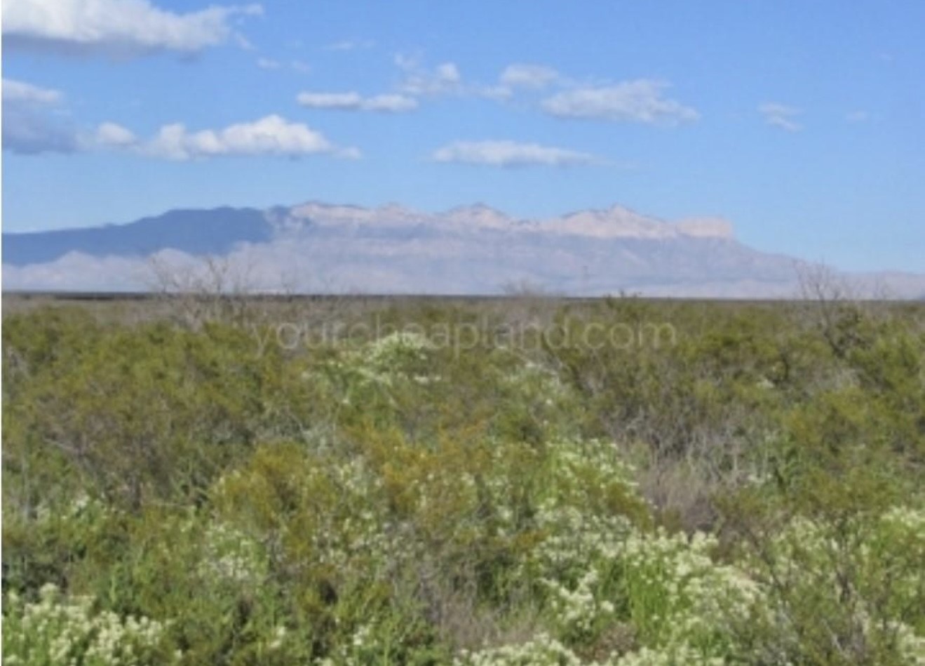 2050 E Abigail Ln, Dell City, TX, 79851 | 17614488 | Realty Texas LLC