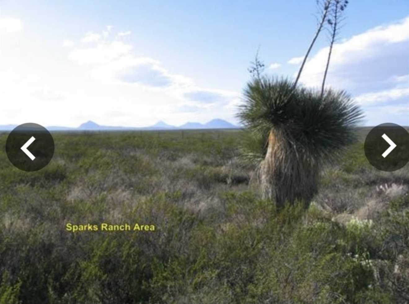 2050 E Abigail Ln, Dell City, TX, 79851 | 17614488 | Realty Texas LLC