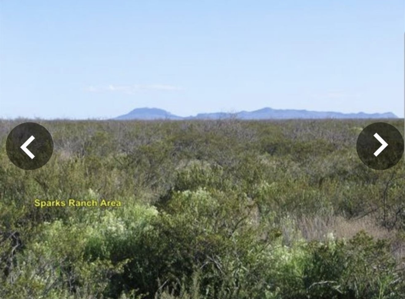 2050 E Abigail Ln, Dell City, TX, 79851 | 17614488 | Realty Texas LLC