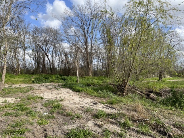 131 Mckeever Road , Rosharon, TX, 77583 | 72502660 | Realty Texas LLC