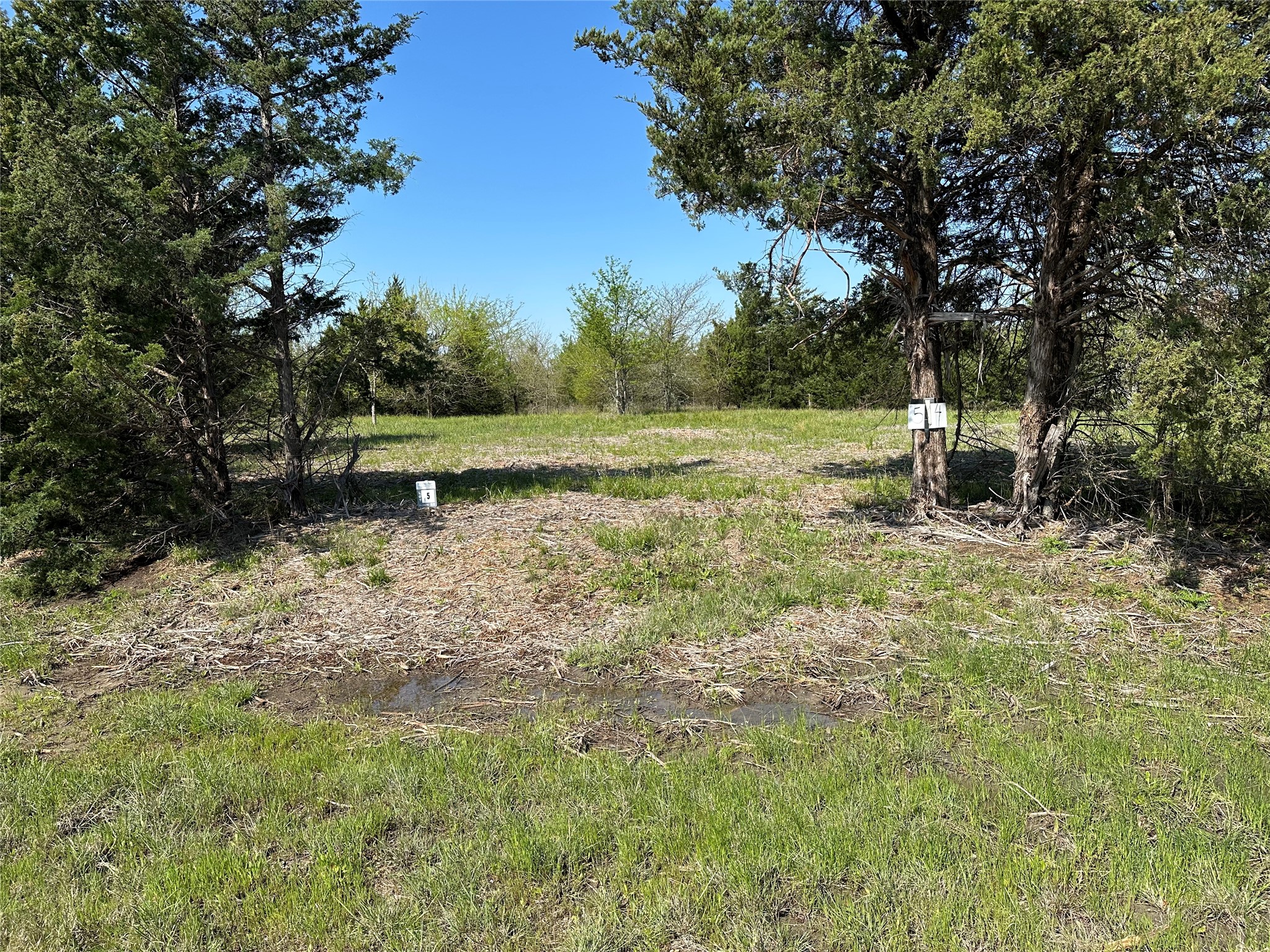 Tract 5 Farm to Market 1743, Honey Grove, TX, 75446 | 20924333 | Realty Texas LLC