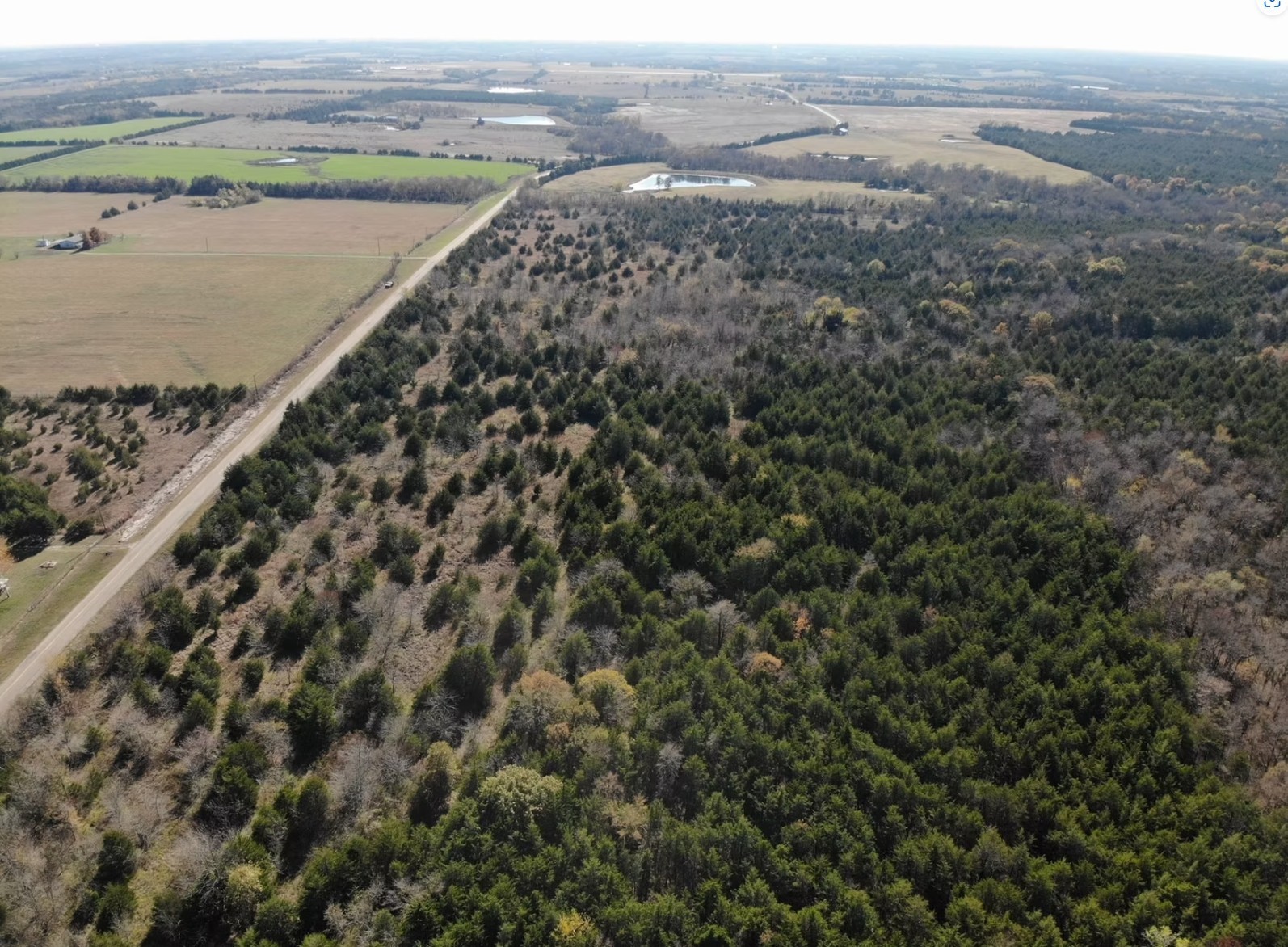 Tract 5 Farm to Market 1743, Honey Grove, TX, 75446 | 20924333 | Realty Texas LLC