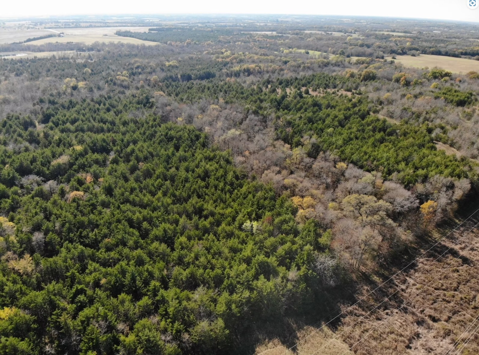 Tract 5 Farm to Market 1743, Honey Grove, TX, 75446 | 20924333 | Realty Texas LLC